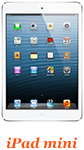 чехол с фото для Apple iPad mini на заказ
